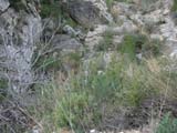 Vall de l’Ebre