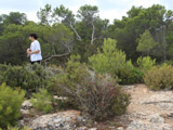 Eivissa