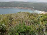Costa Mediterr�nia